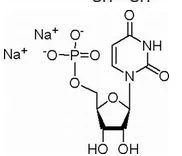Uridine 5’- Monophosphate Disodium Salt